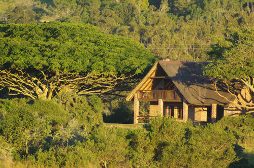 Hotel Kragga Kamma Game Park à Port Elizabeth Extérieur photo