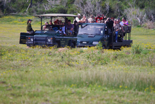 Hotel Kragga Kamma Game Park à Port Elizabeth Extérieur photo