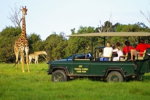 Hotel Kragga Kamma Game Park à Port Elizabeth Extérieur photo
