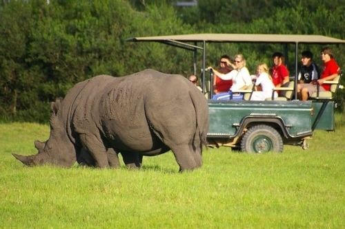 Hotel Kragga Kamma Game Park à Port Elizabeth Extérieur photo