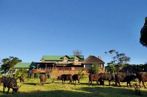 Hotel Kragga Kamma Game Park à Port Elizabeth Extérieur photo