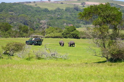 Hotel Kragga Kamma Game Park à Port Elizabeth Extérieur photo