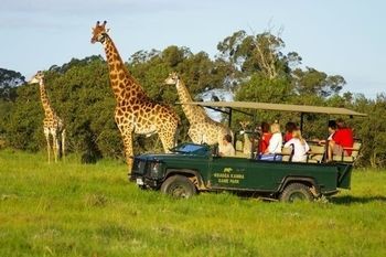Hotel Kragga Kamma Game Park à Port Elizabeth Extérieur photo